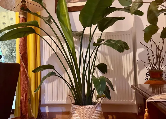 Nyaraló Jasmine Place