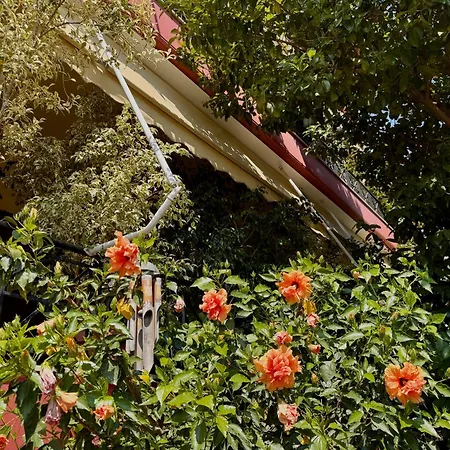 Jasmine Place Каламата